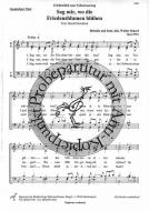 Sag mir, wo die Friedensblumen blühen 