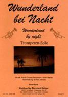 Wunderland bei Nacht 