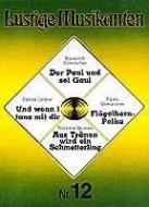 Lustige Musikanten 12 