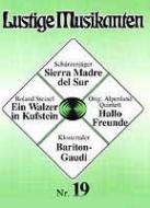 Lustige Musikanten 19 