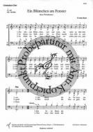 Ein Blümchen am Fenster 