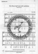 Die Rose darf sich still entfalten 