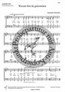 Warum bist du gekommen 