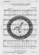 Es wollt' ein Schneider wandern 