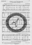 Gottes weite Wunderwelt 