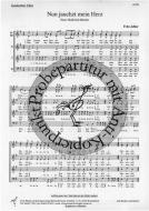 Nun jauchzt mein Herz 