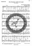 Der Sommer zieht ins Land 