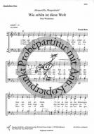 Wie schön ist diese Welt 