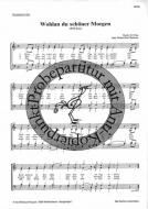 Wohlan, du schöner Morgen 