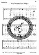 Wohlan, du schöner Morgen 