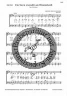 Ein Stern erstrahlt am Himmelszelt 