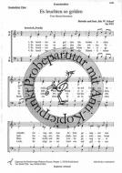 Es leuchten so golden 