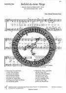 Befiehl du deine Wege BWV 272 