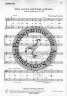 Ehre sei Gott und Friede auf Erden 