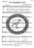 Sechsunddreissig Bauernmädel 