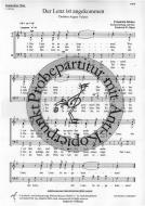 Der Lenz ist angekommen 