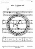 Wenn ich nur dich habe 