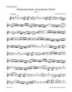 Himmelfahrts-Oratorium BWV 11 