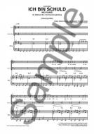 Ich bin schuld 