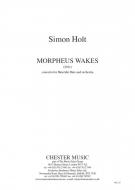Morpheus Wakes 