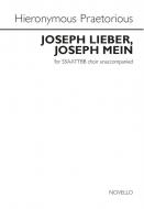 Joseph Lieber, Joseph Mein 