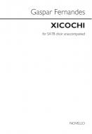 Xicochi 