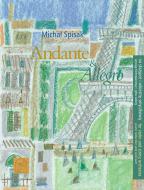 Andante And Allegro 