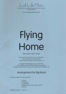 Flying Home 