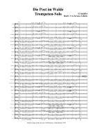 Post im Walde Standard