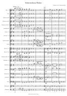 Schweizerhaus Standard