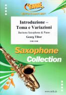 Introduzione Standard