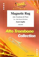 Magnetic Rag Standard