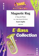 Magnetic Rag Standard