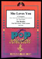 She Loves You Standard