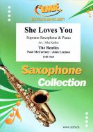 She Loves You Standard