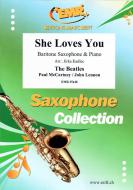She Loves You Standard