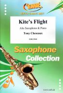 Kite's Flight Standard