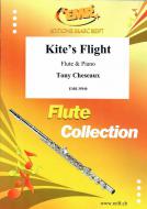 Kite's Flight Download