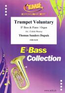 Trumpet Voluntary Download