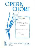 Entführungschor (Herzog, Herzog!) aus der Oper Rigoletto 