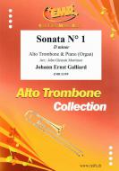 Sonata No. 1 in D minor Download