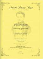 Chineser-Galopp op. 20 