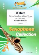 Walzer Standard