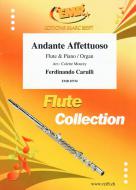 Andante Affettuoso Standard