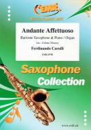 Andante Affettuoso Standard