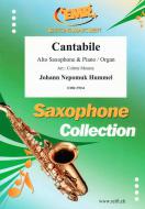 Cantabile Standard