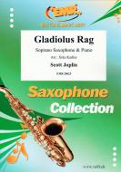 Gladiolus Rag Standard