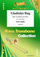 Gladiolus Rag Standard