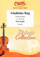Gladiolus Rag Standard