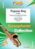 Pegasus Rag Standard